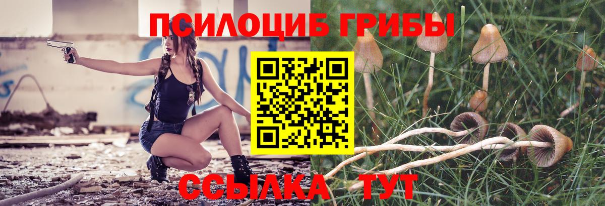 Галлюциногенные грибы ЛСД  Вход с VPN  Нововоронеж 